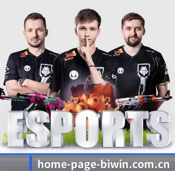home-page-biwin.com.cn APP 界面